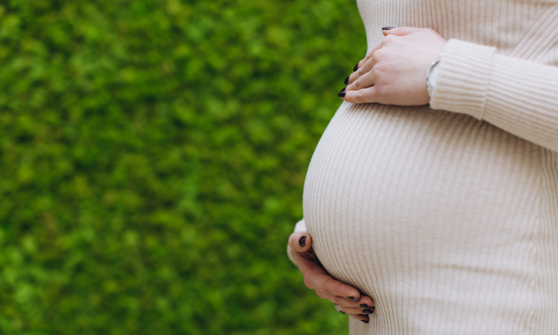 "Лелека" в цифрах