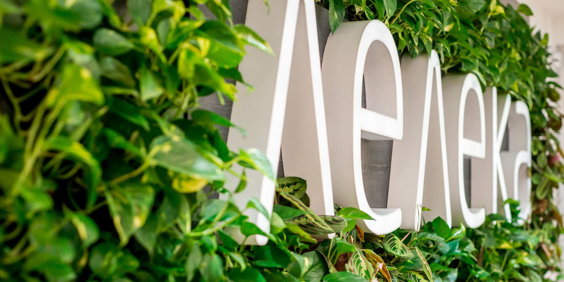 Права пацієнтів