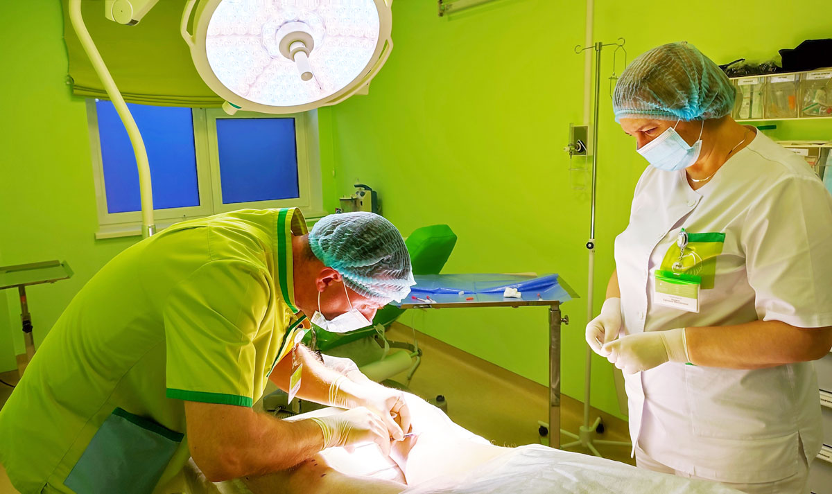 Склеротерапия вен нижних конечностей в Киеве МЦ Лелека Склеротерапия вен нижних конечностей в Киеве МЦ Лелека