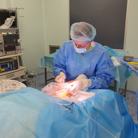 Склеротерапія вен нижніх кінцівок у Києві | МЦ Лелека