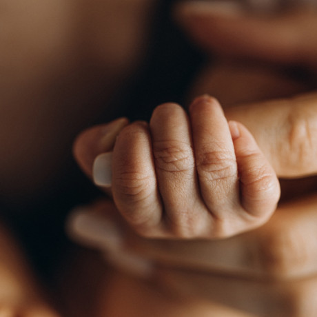 День відкритих дверей День відкритих дверей